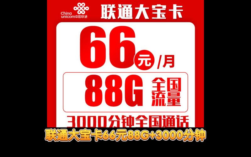 阿里大宝卡是哪个套餐？