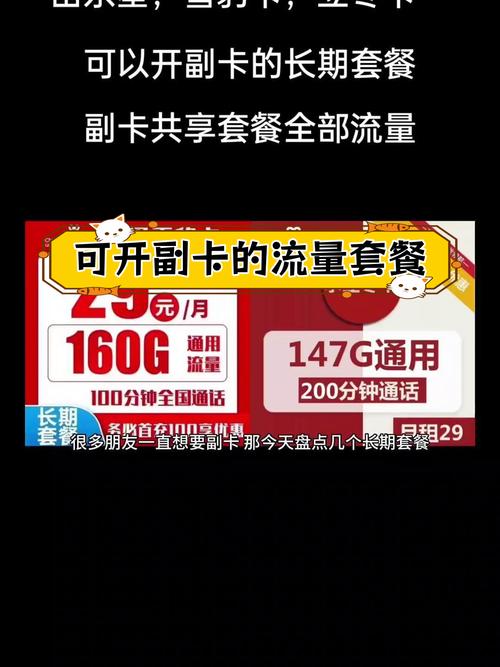 移动副卡哪个套餐好一点?