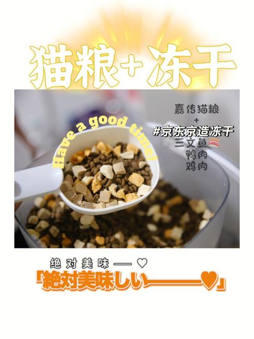 猫粮千川怎么投?