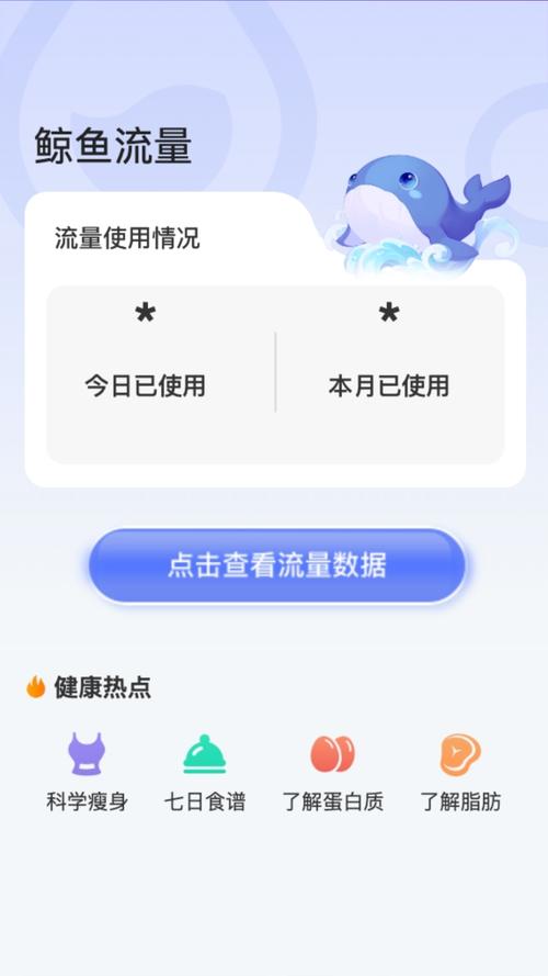 手机上网流量多少？