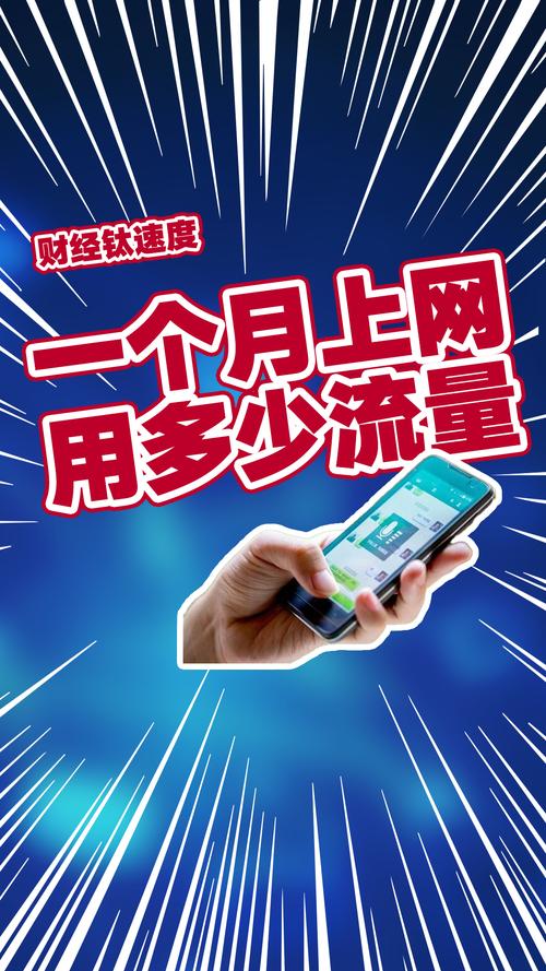 手机上网流量多少？