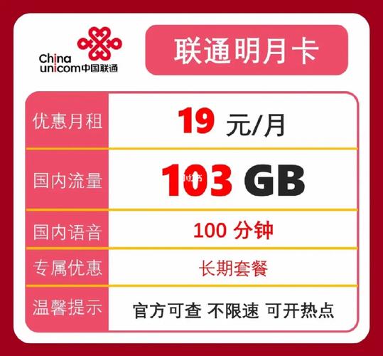 联通卡保安套餐是什么?