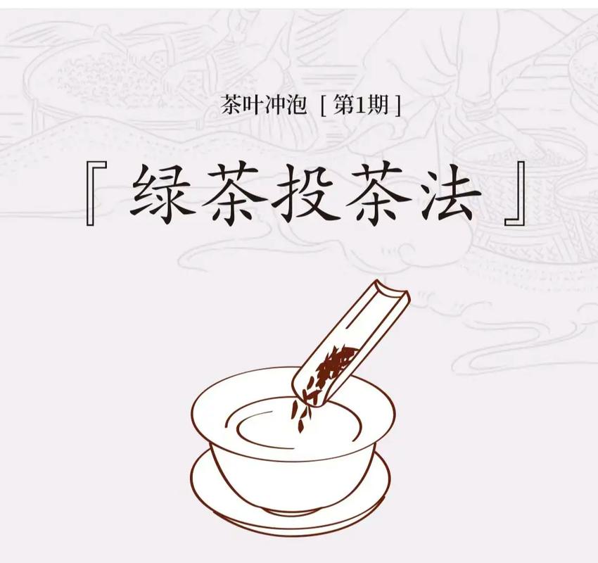 茶类怎么投千川？