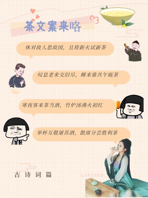 普洱茶类目投千川怎么投?
