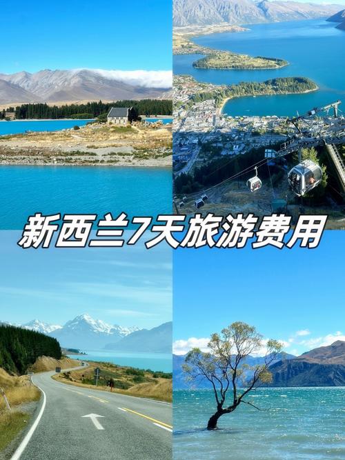 新西兰 手机含多少流量?