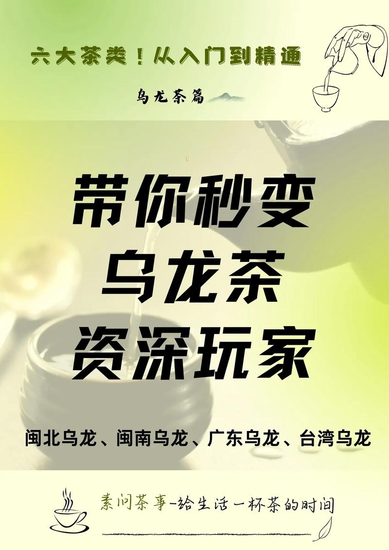 岩茶直播间怎么投千川？