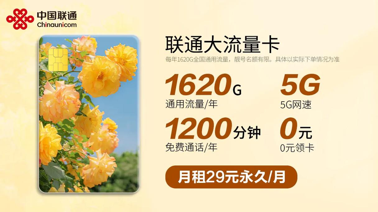 联通卡什么是套餐外1元一g?