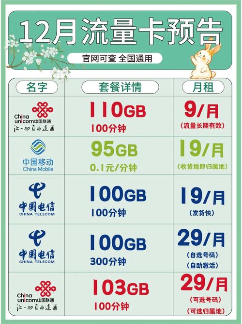 手机流量放心用多少?