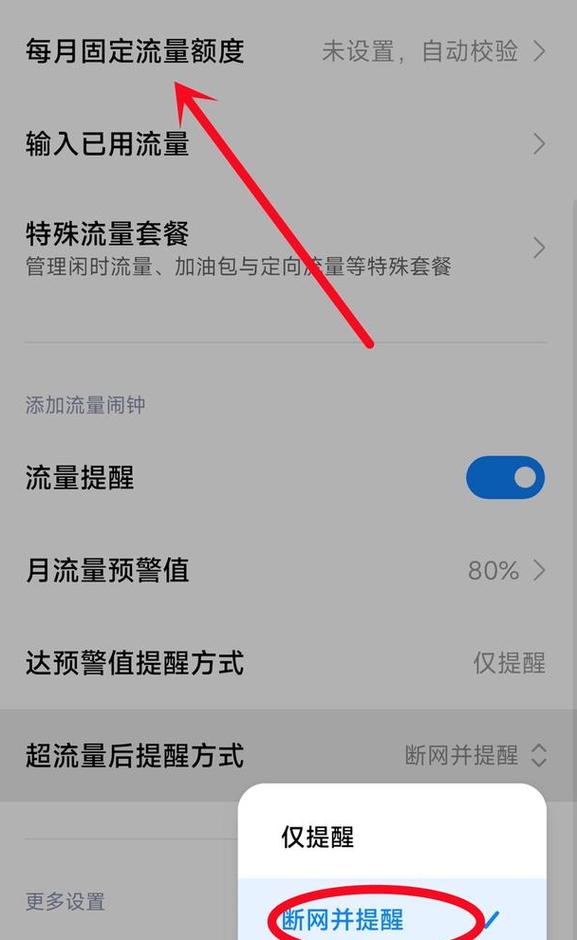 手机流量开多少够用？