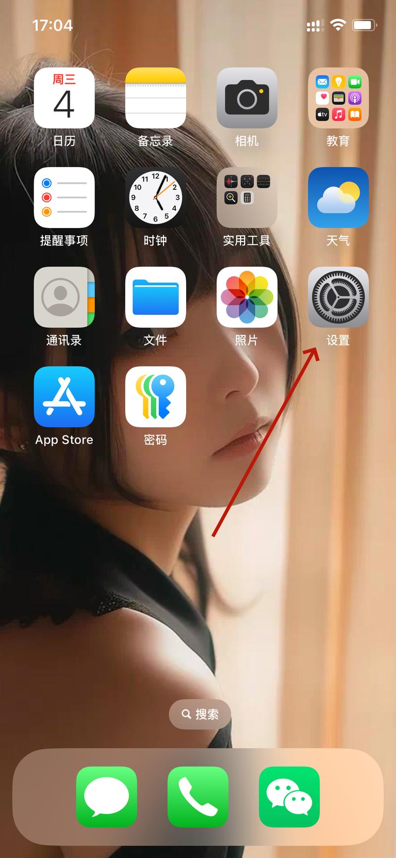 苹果手机看用了多少流量?
