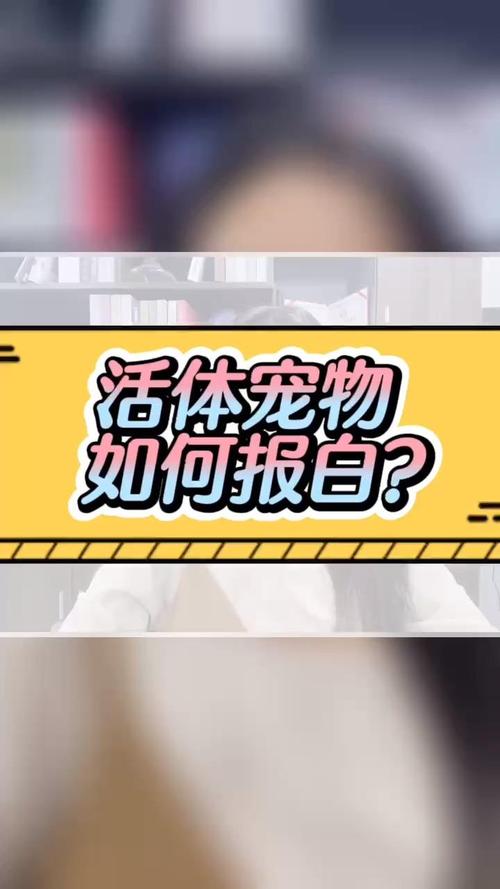 活体宠物类怎么投千川?
