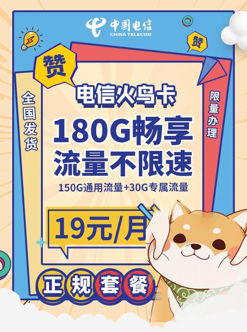 电信胖虎卡套餐有哪些服务？