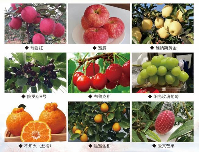 水果怎么投千川更精准?