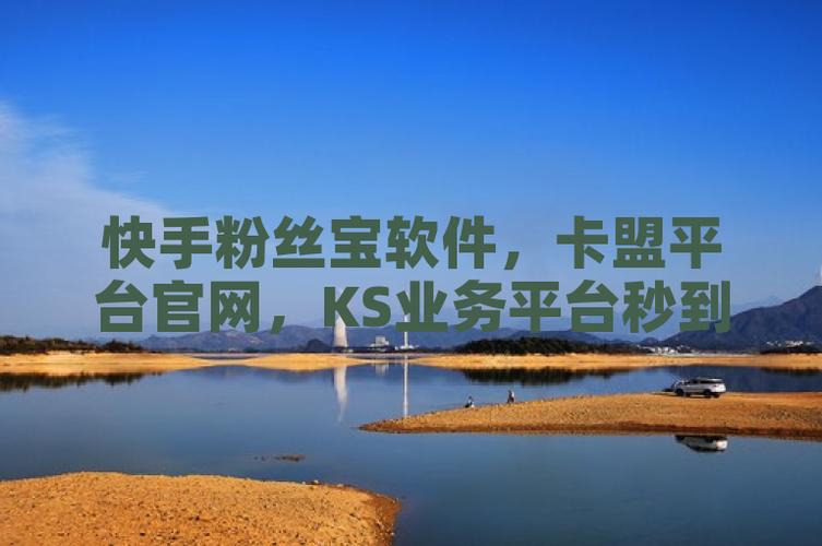 Dy粉丝业务,ks业务软件