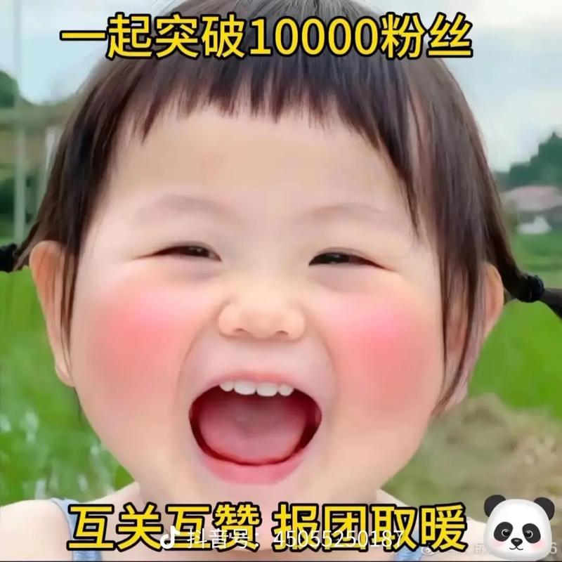 抖音1元10000,抖音1元1000真人粉丝