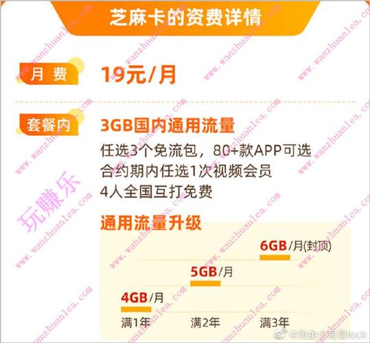 电信芝麻卡套餐哪里办理最便宜？最新优惠活动有哪些？