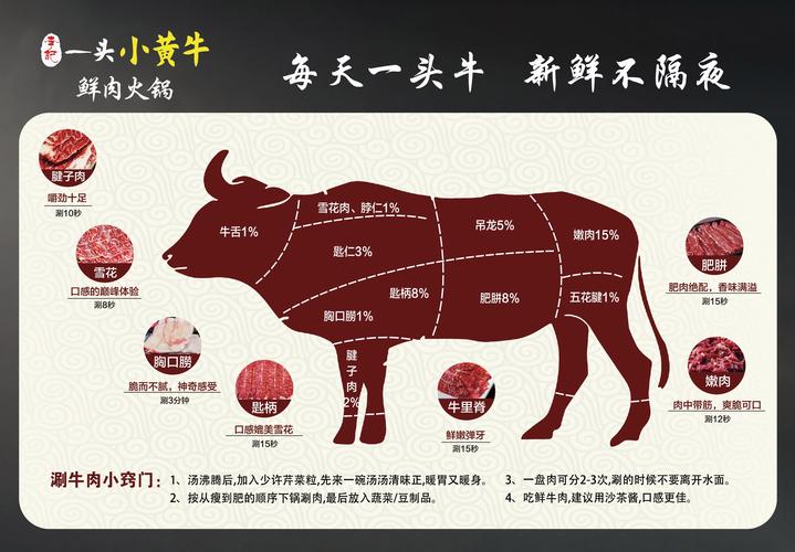 牛肉生鲜怎么投千川？