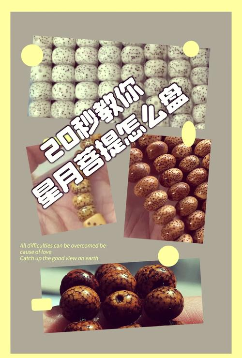 星月菩提怎么投千川？