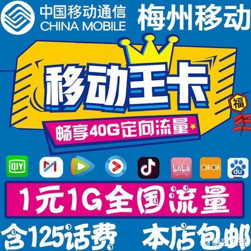 大王移动卡套餐怎么样？