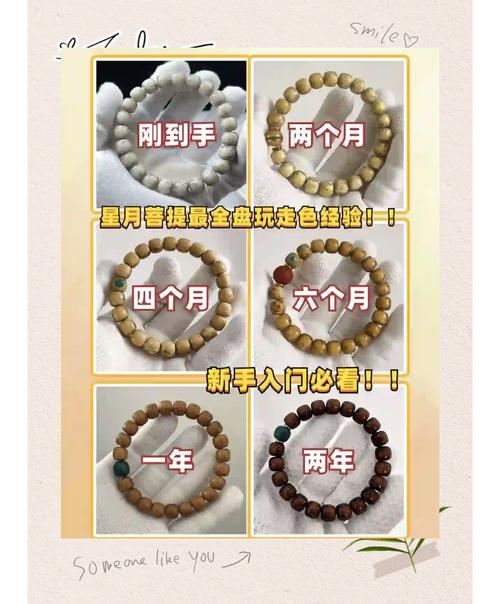星月菩提怎么投千川?