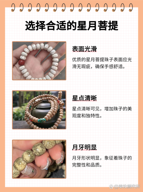 星月菩提怎么投千川?