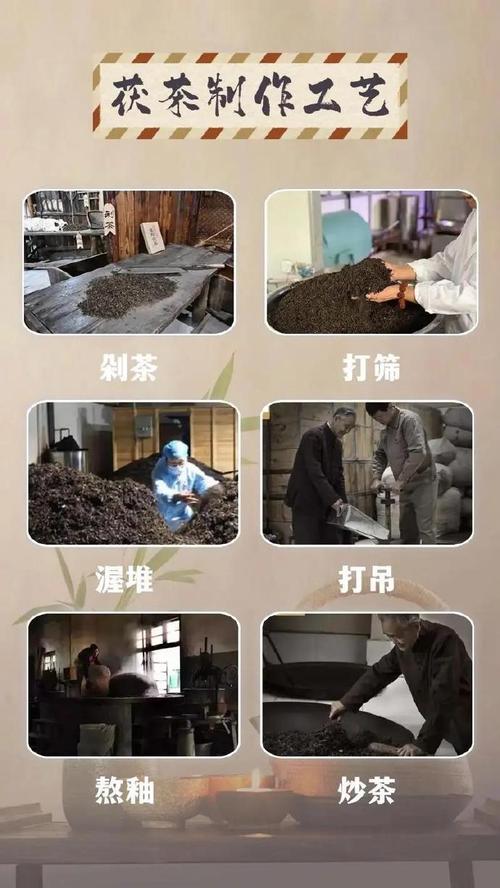 千川图文怎么投茶叶?