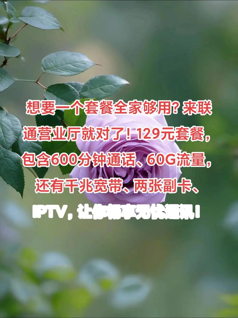 哪个套餐支持副卡多?
