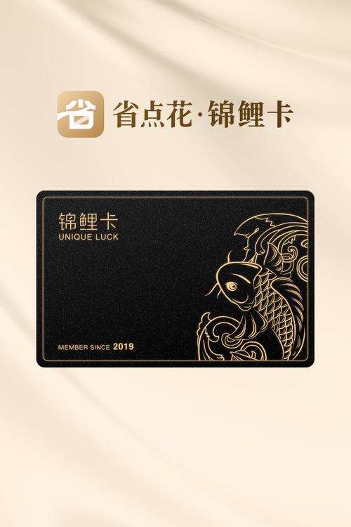 锦鲤卡哪个套餐最划算?