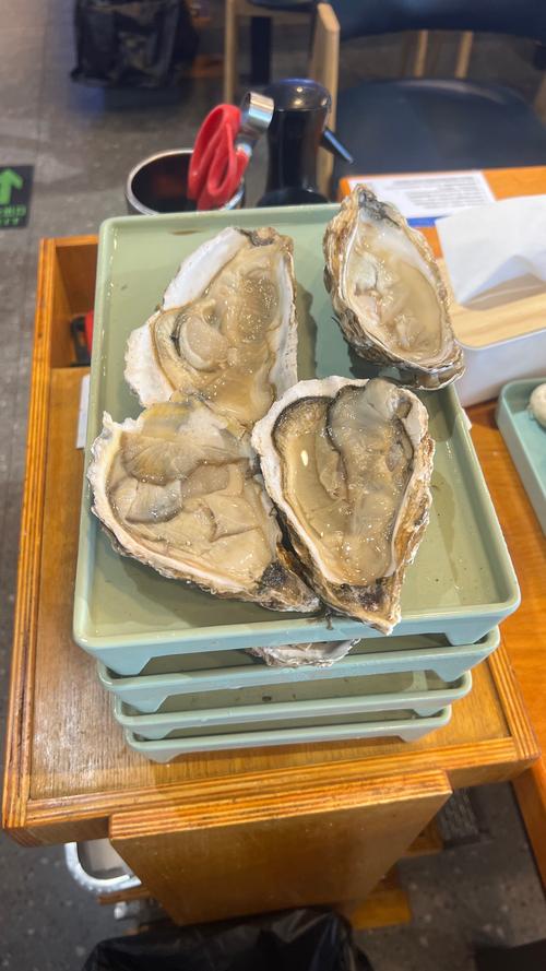 千川投放生蚝怎么投?