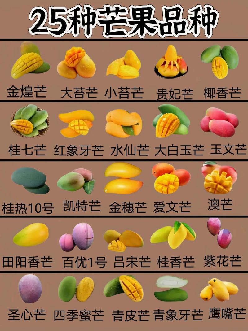 千川水果类目怎么投?