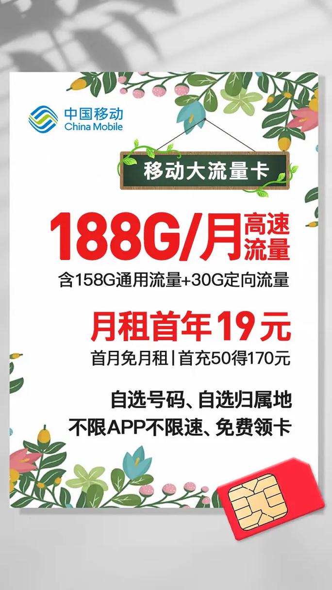移动手机号有多少流量?