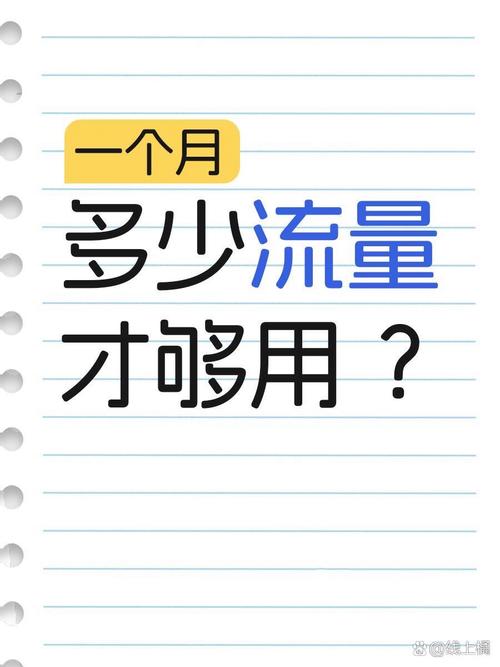 女生手机一个月多少流量?