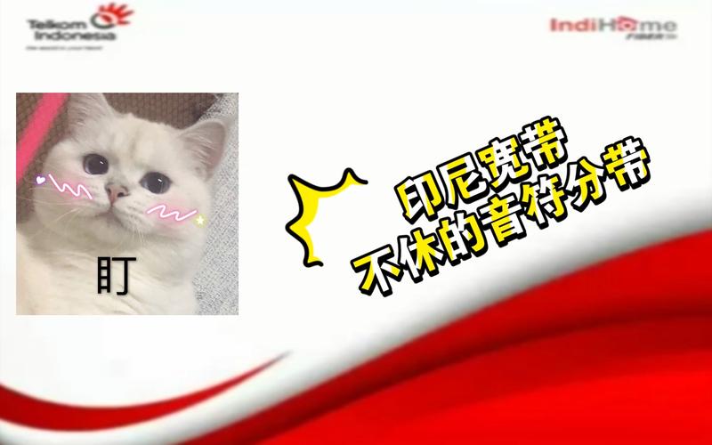 如何画印尼装宽带?