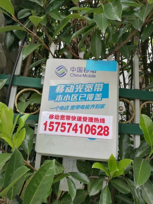 宁波地区移动宽带如何?