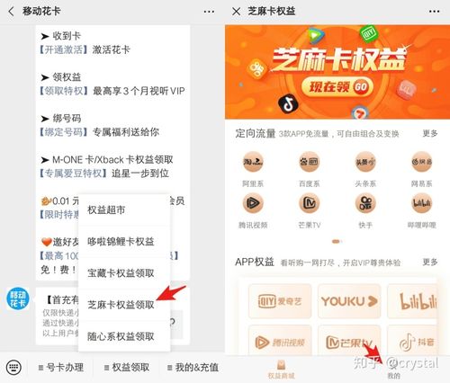 移动芝麻卡哪个套餐好?