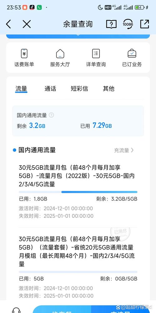 手机10流量多少?