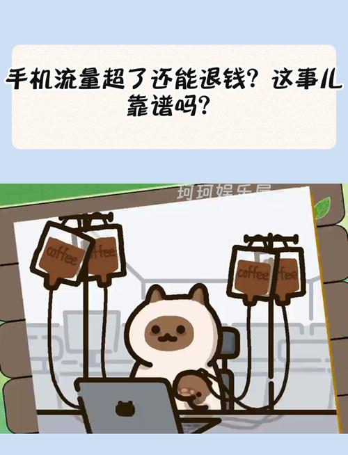 手机浪费多少流量?