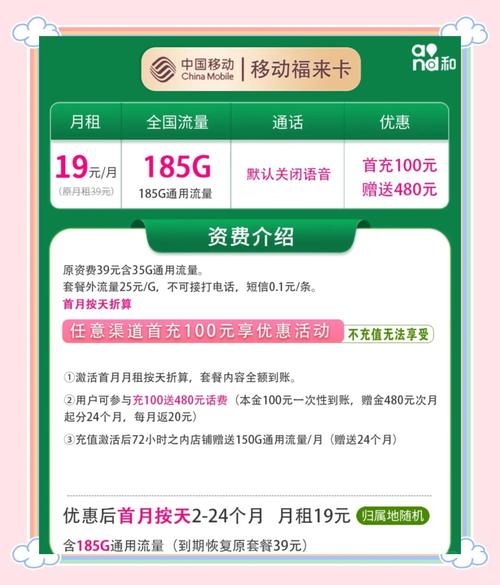 移动大王卡19元套餐怎么升级1元1g?