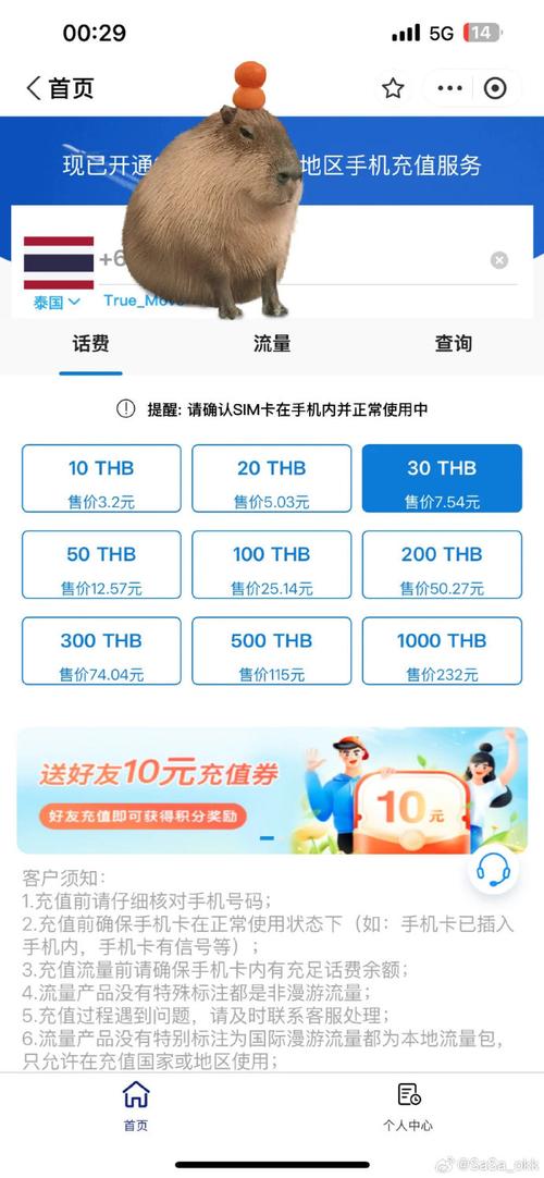 手机上网流量费指哪些内容?