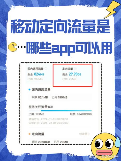 如何查看手机定向流量用于哪些APP？以及如何管理流量使用？