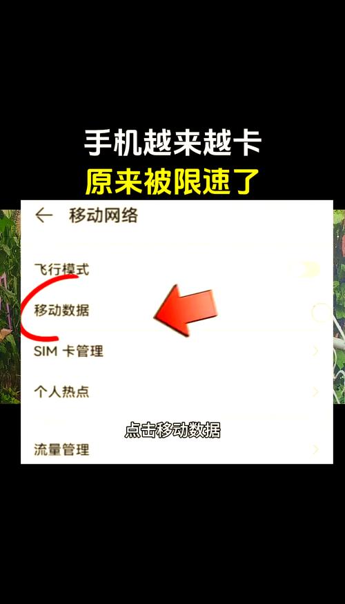 如何在手机上测算宽带？有哪些实用方法？