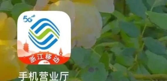 哪些手机支持一元流量包？如何开通使用？