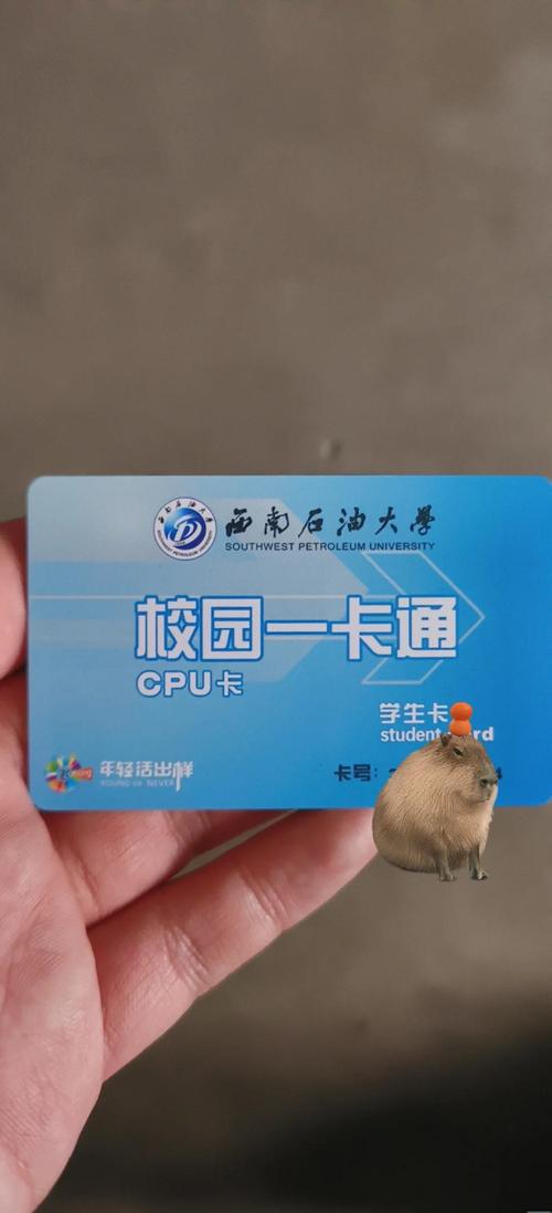 一卡通学生卡套餐有哪些?