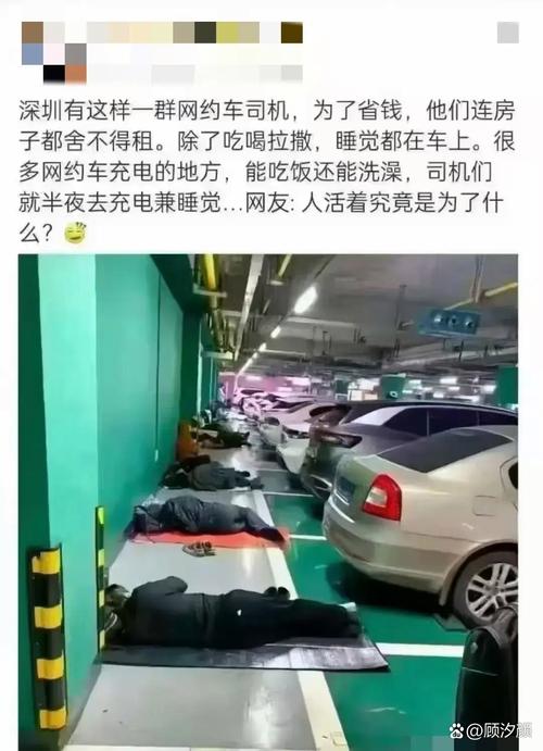 男子凌晨偷2261斤大蒜 塞爆副驾