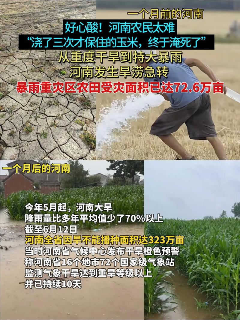 为何河北特大暴雨河南却严重干旱