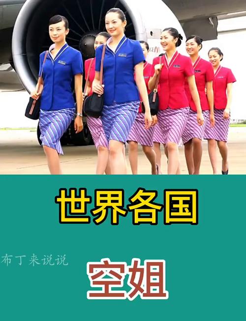 中国女孩在欧洲跨国航班上客串空姐