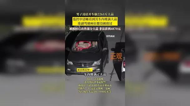 男子凌晨偷大蒜塞爆副驾，大蒜被盗事件曝光