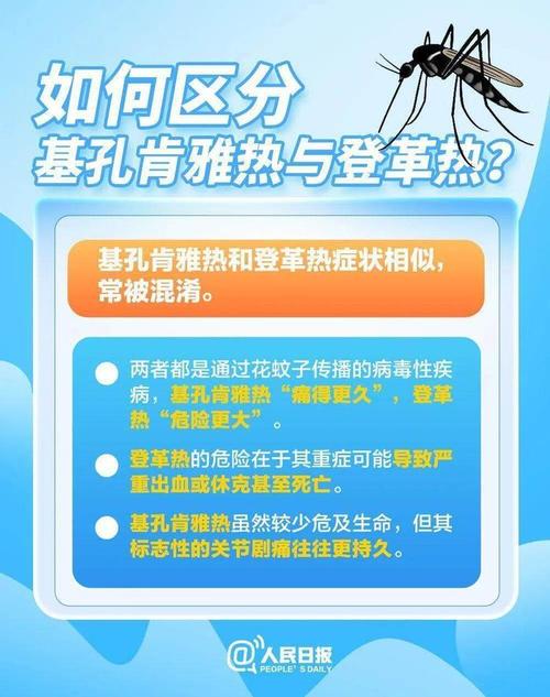 河北网友家中发现白纹伊蚊