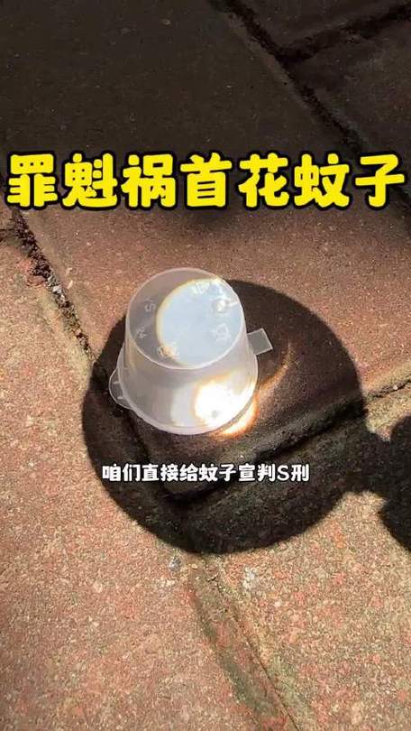 河北网友家中惊现白纹伊蚊