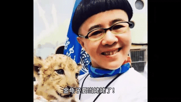 金龟子又要当姥姥了
